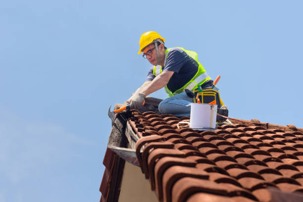 Best Gutter Installation and Repair  in Spotsylnia Courthouse, VA